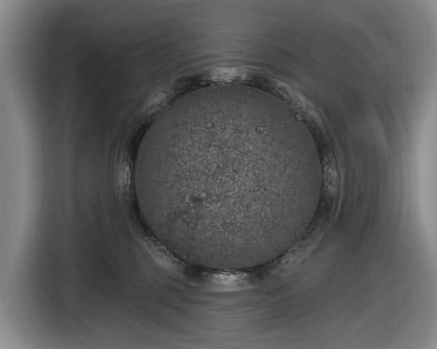X0000116450375200912151305
