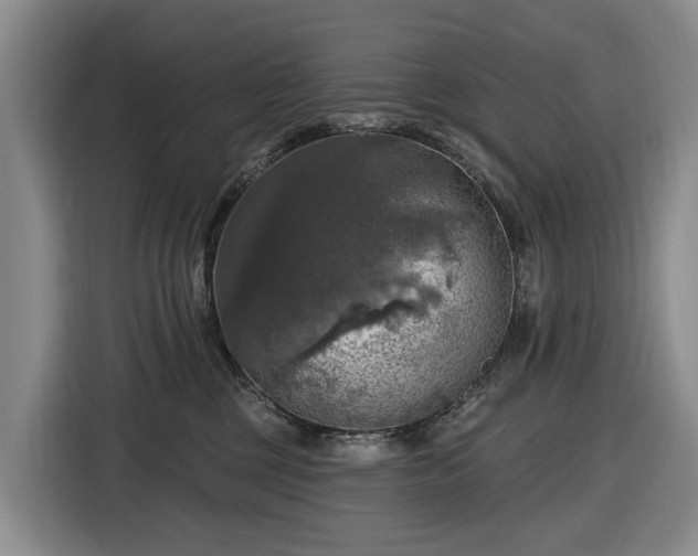 X0000116450377200912151305