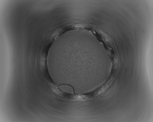 X0000116450379200912151305