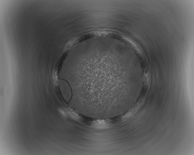 X0000116450381200912151305
