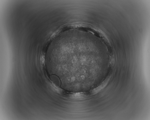 X0000116450382200912151305