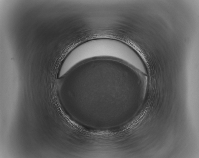 X0000116450385200912151304