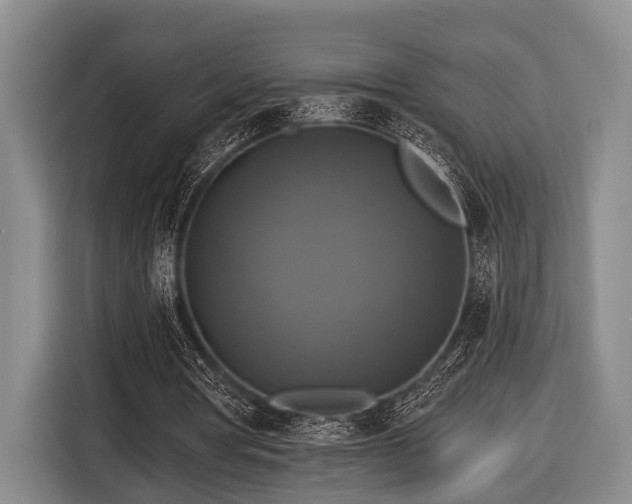 X0000116450386200912151304