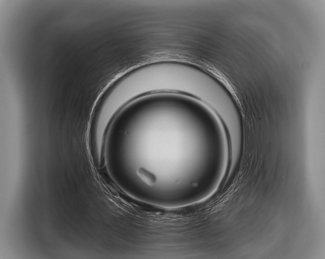 X0000116450387200912151304