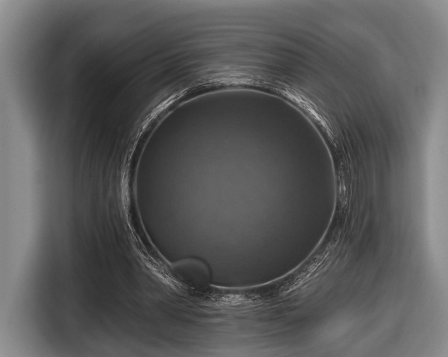X0000116450390200912151304