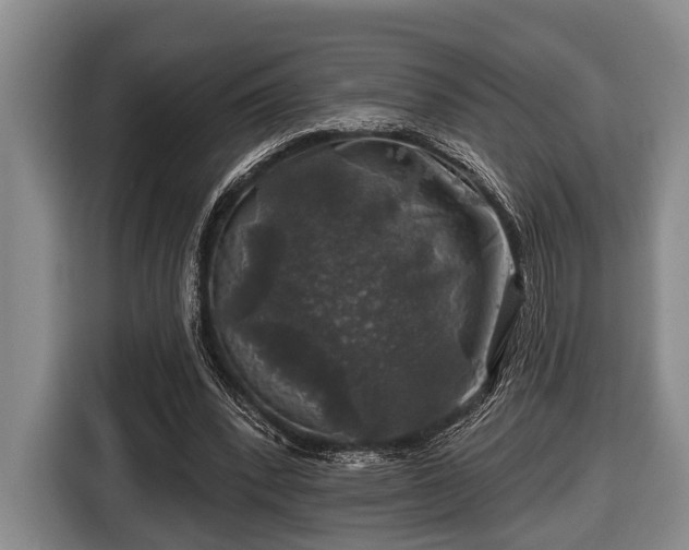 X0000116450392200912151304