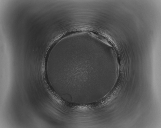X0000116450394200912151304