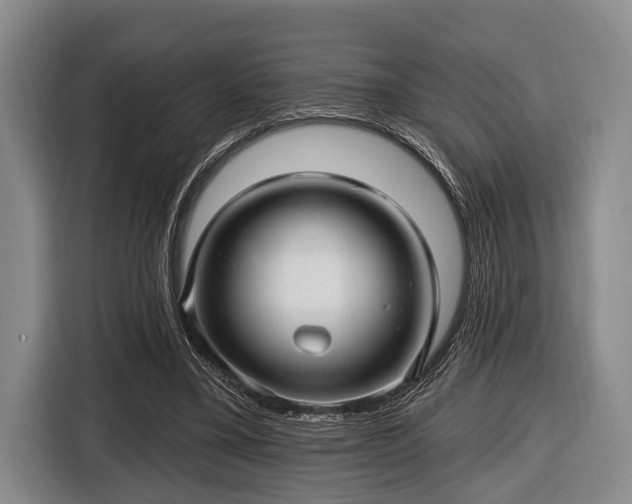 X0000116450395200912151304