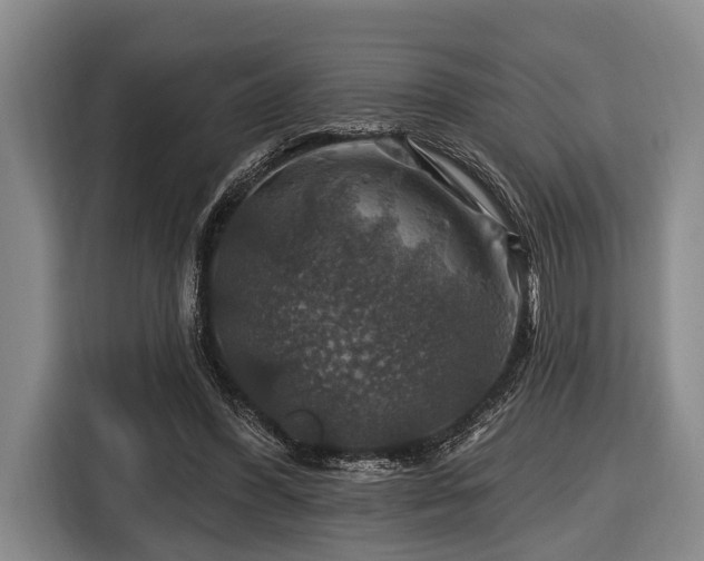 X0000116450396200912151304