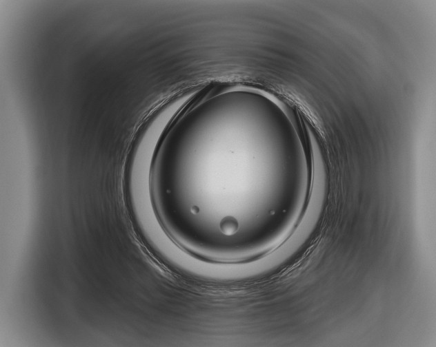 X0000116450397200912151304