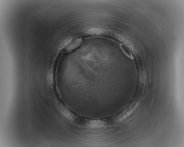 X0000116450399200912151304