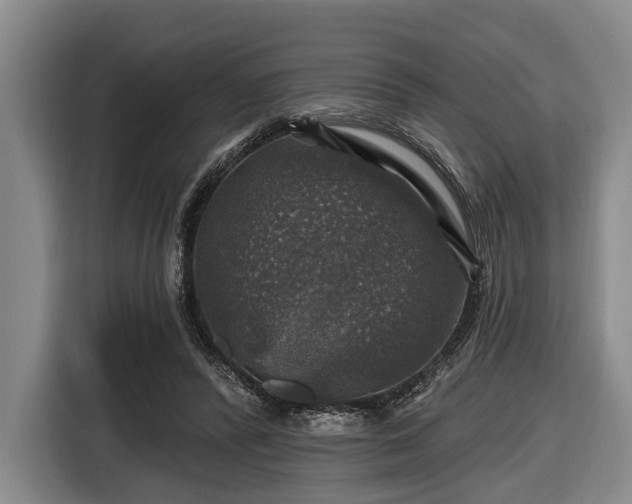 X0000116450400200912151304