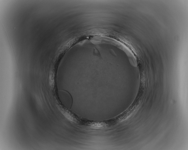 X0000116450402200912151304