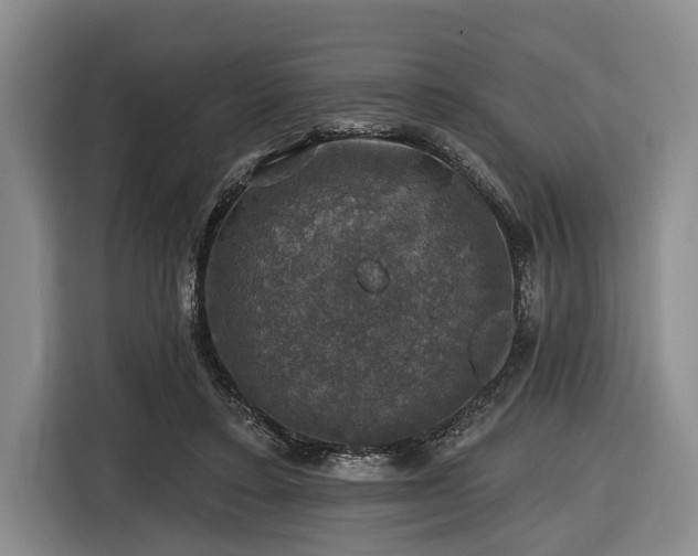 X0000116450403200912151304