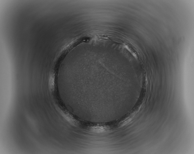 X0000116450404200912151304