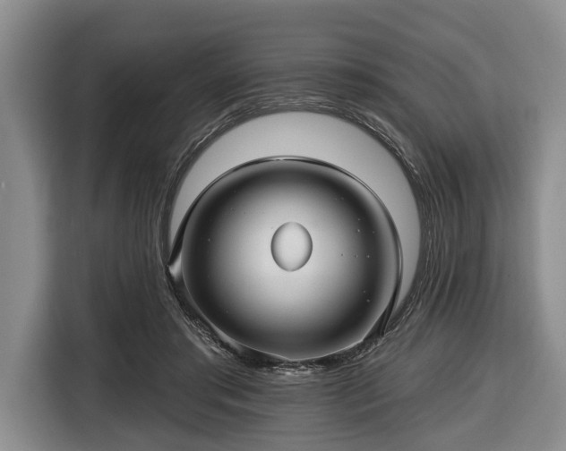 X0000116450405200912151304