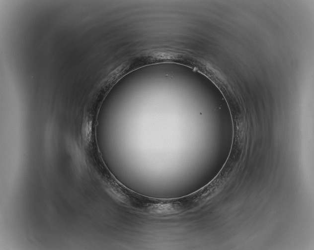 X0000116450406200912151304
