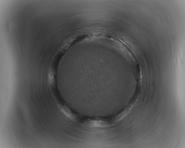 X0000116450408200912151304