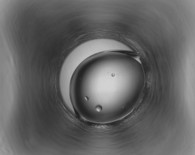 X0000116450409200912151304
