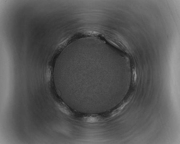 X0000116450412200912151304