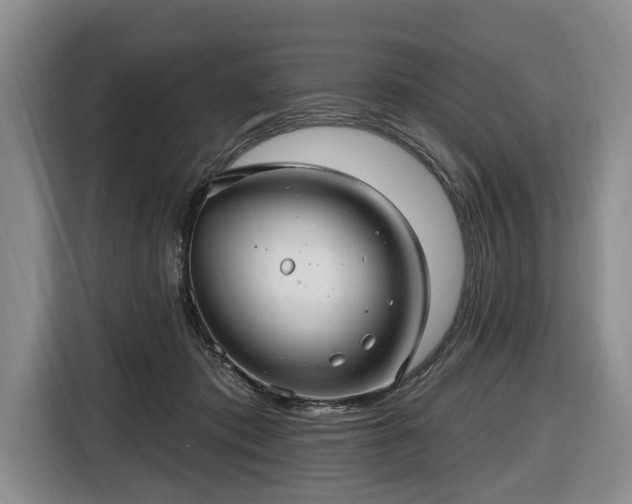 X0000116450413200912151304