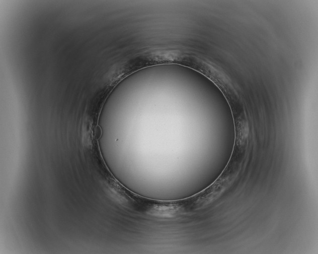 X0000116450414200912151304