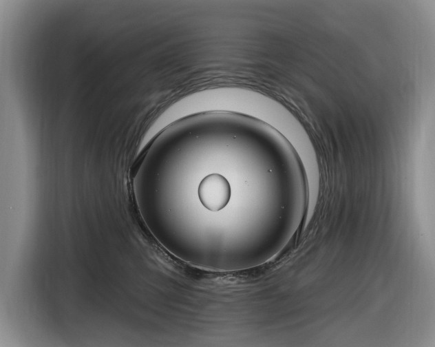 X0000116450423200912151304