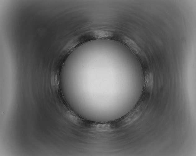 X0000116450426200912151304