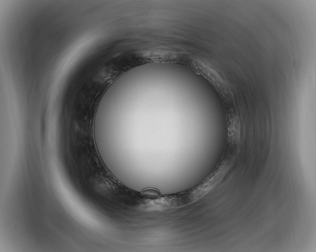 X0000116450430200912151304