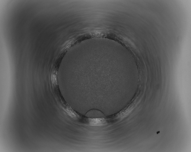 X0000116450432200912151304