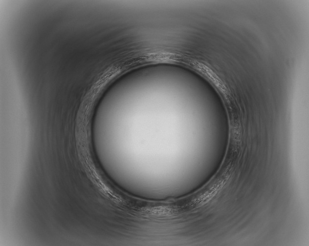 X0000116450433200912151303