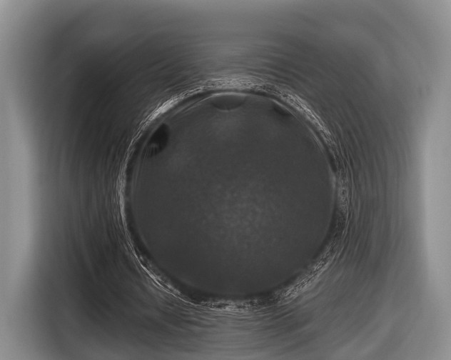 X0000116450434200912151303