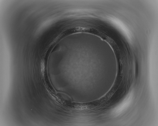 X0000116450435200912151303
