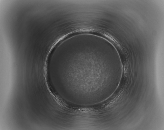 X0000116450436200912151303