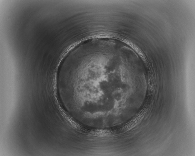 X0000116450437200912151303