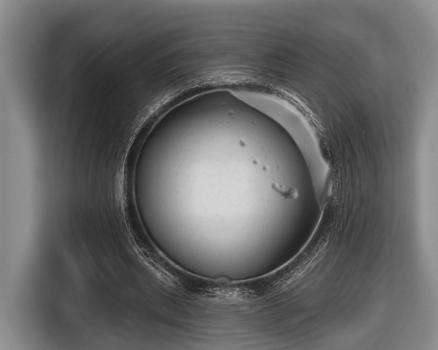 X0000116450439200912151303