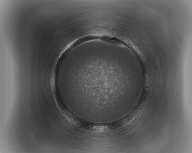 X0000116450440200912151303