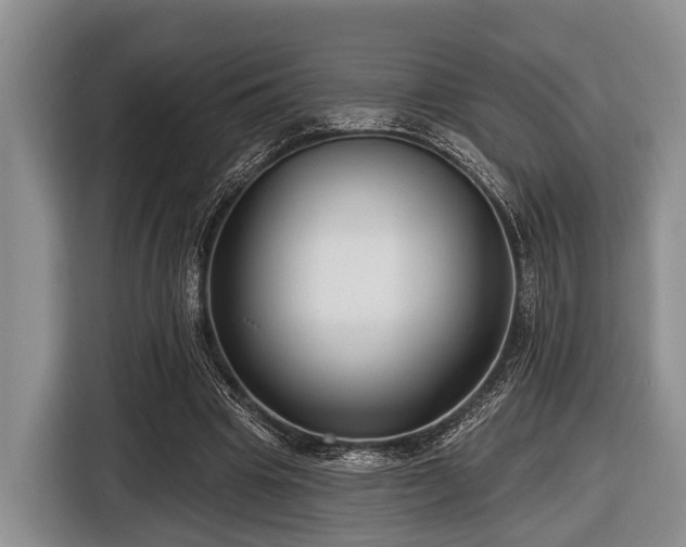 X0000116450441200912151303