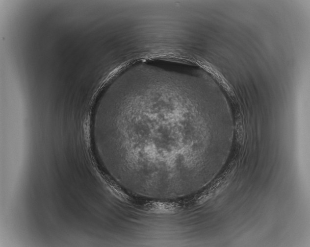 X0000116450442200912151303