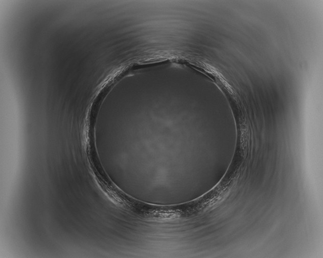 X0000116450443200912151303