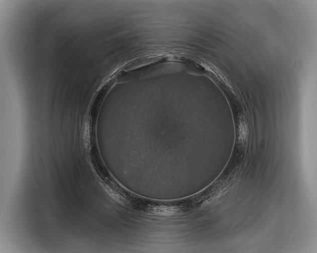 X0000116450444200912151303
