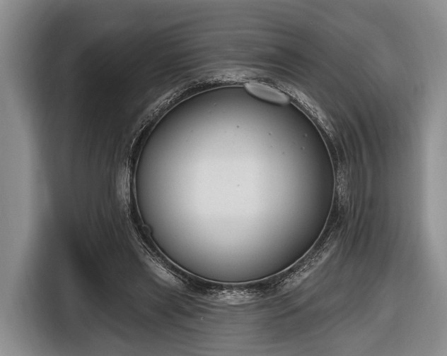X0000116450445200912151303