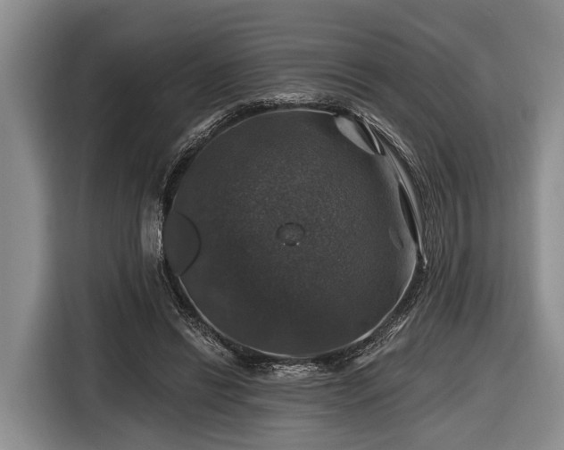 X0000116450446200912151303