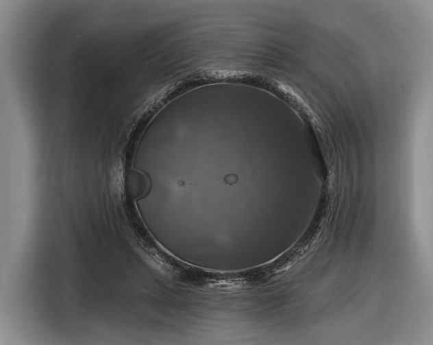 X0000116450447200912151303