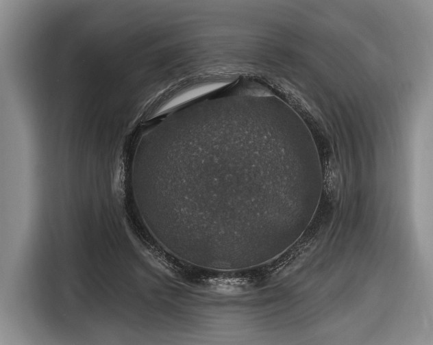 X0000116450448200912151303