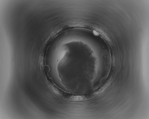 X0000116450449200912151303