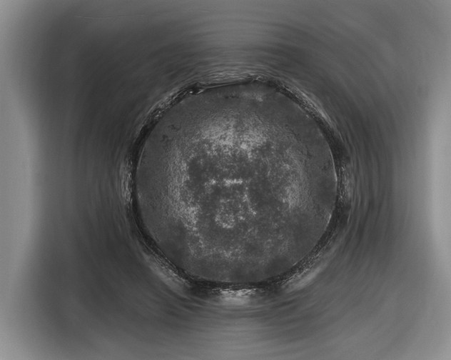 X0000116450450200912151303