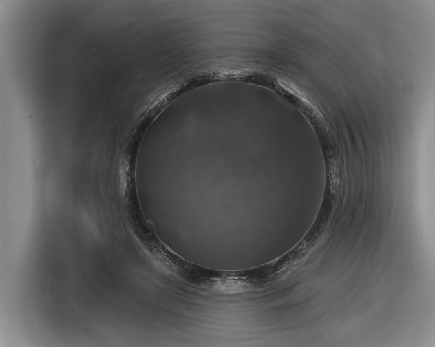 X0000116450451200912151303