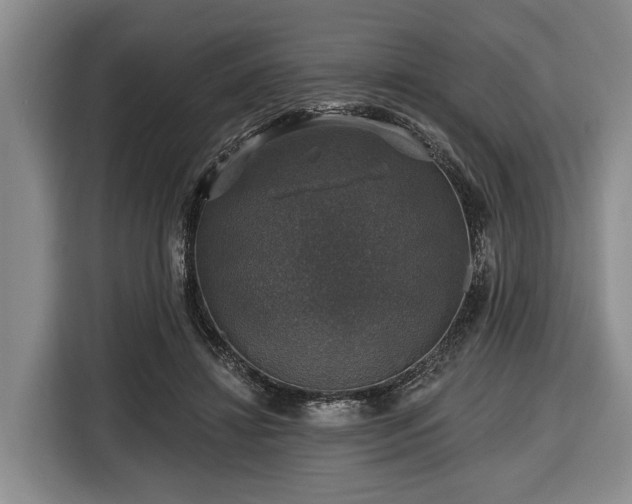 X0000116450452200912151303