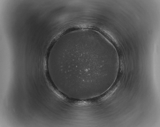 X0000116450453200912151303